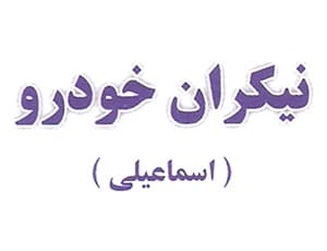 لوگو نیکران خودرو (نامشخص)