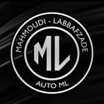 لوگو اتو ام ال (ML)